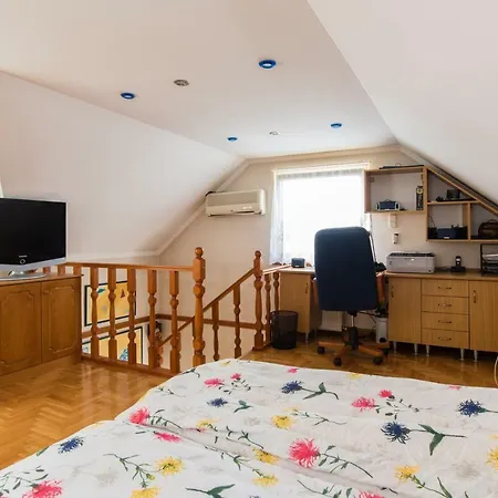 Holiday home Ancsa House Domsod