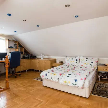 Ancsa House Domsod